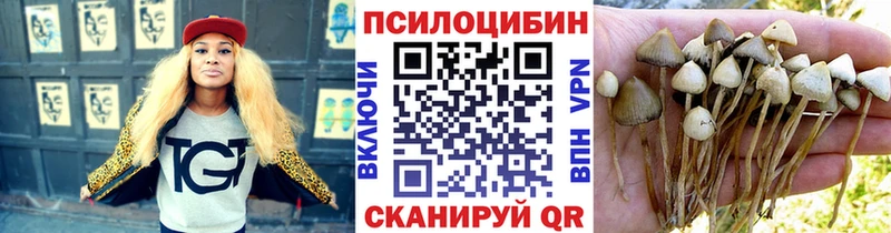 Галлюциногенные грибы Psilocybe  кракен зеркало  Игра 