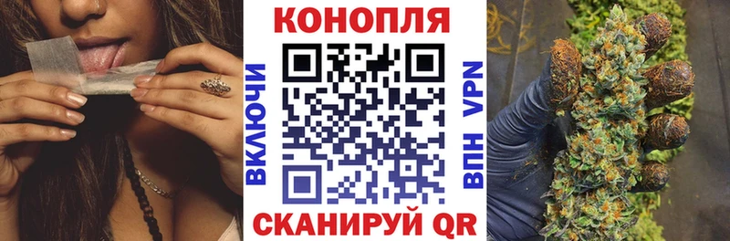 MEGA ссылка  Игра  Бошки марихуана тримм 